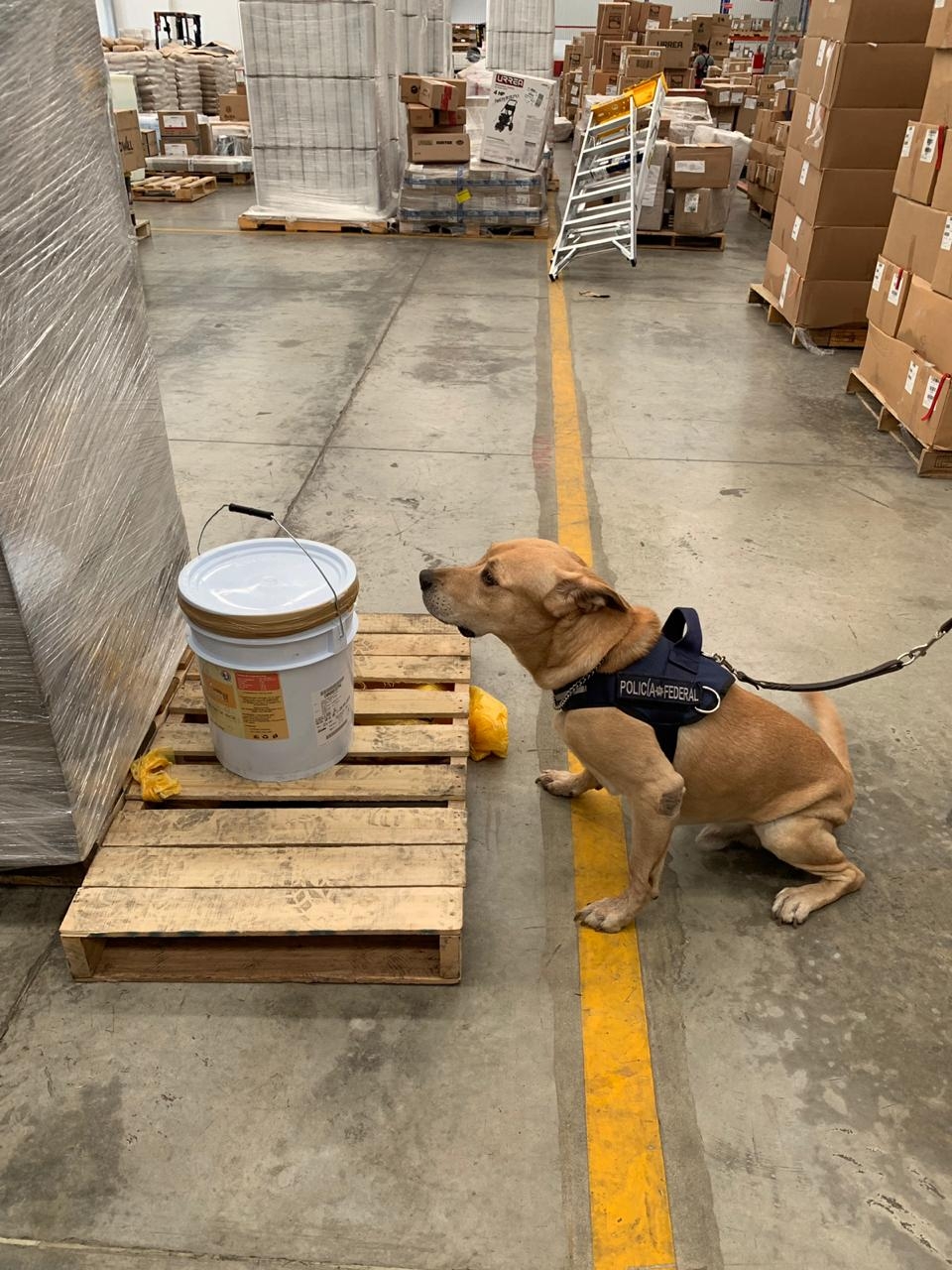 Encuentran cubeta de miel con éxtasis en periférico de Mérida